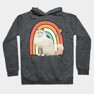 retro rainbow cat Hoodie